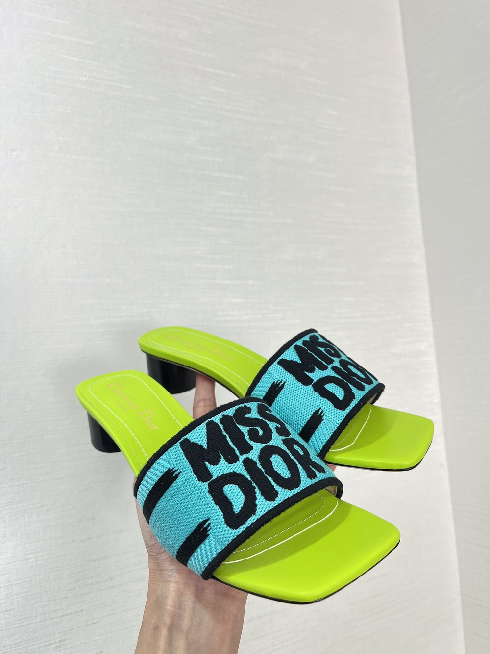 Christian Dior Dway Slide (11 colors)