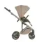 Коляска ANEX Eli 3 в 1 Gato