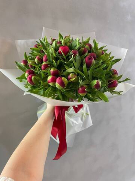 35 бордовых пионов