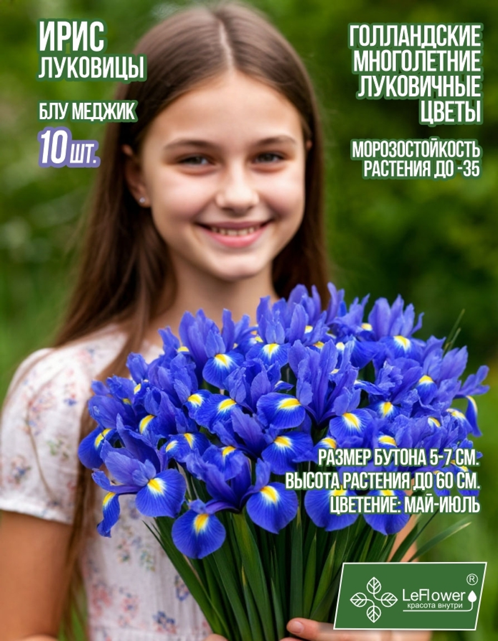 Ирис луковицы 10шт., Блю Меджик, для посадки в грунт. Голландия, Нидерланды