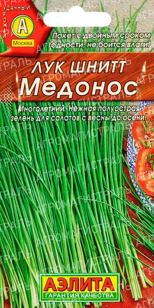 Лук Шнитт Медонос Аэлита Ц