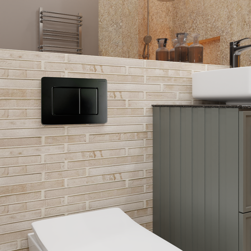 Клавиша для инсталляции CHARUS Robusto FP.310.MB.05, черный матовый