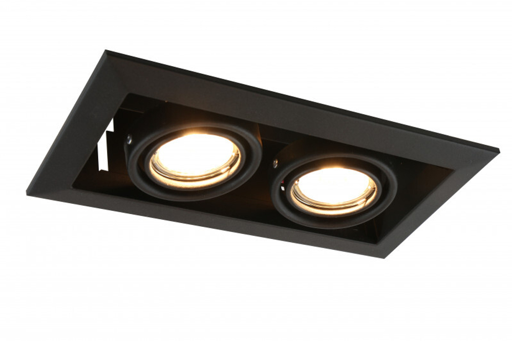 Встраиваемый светильник Arte Lamp A5941PL-2BK