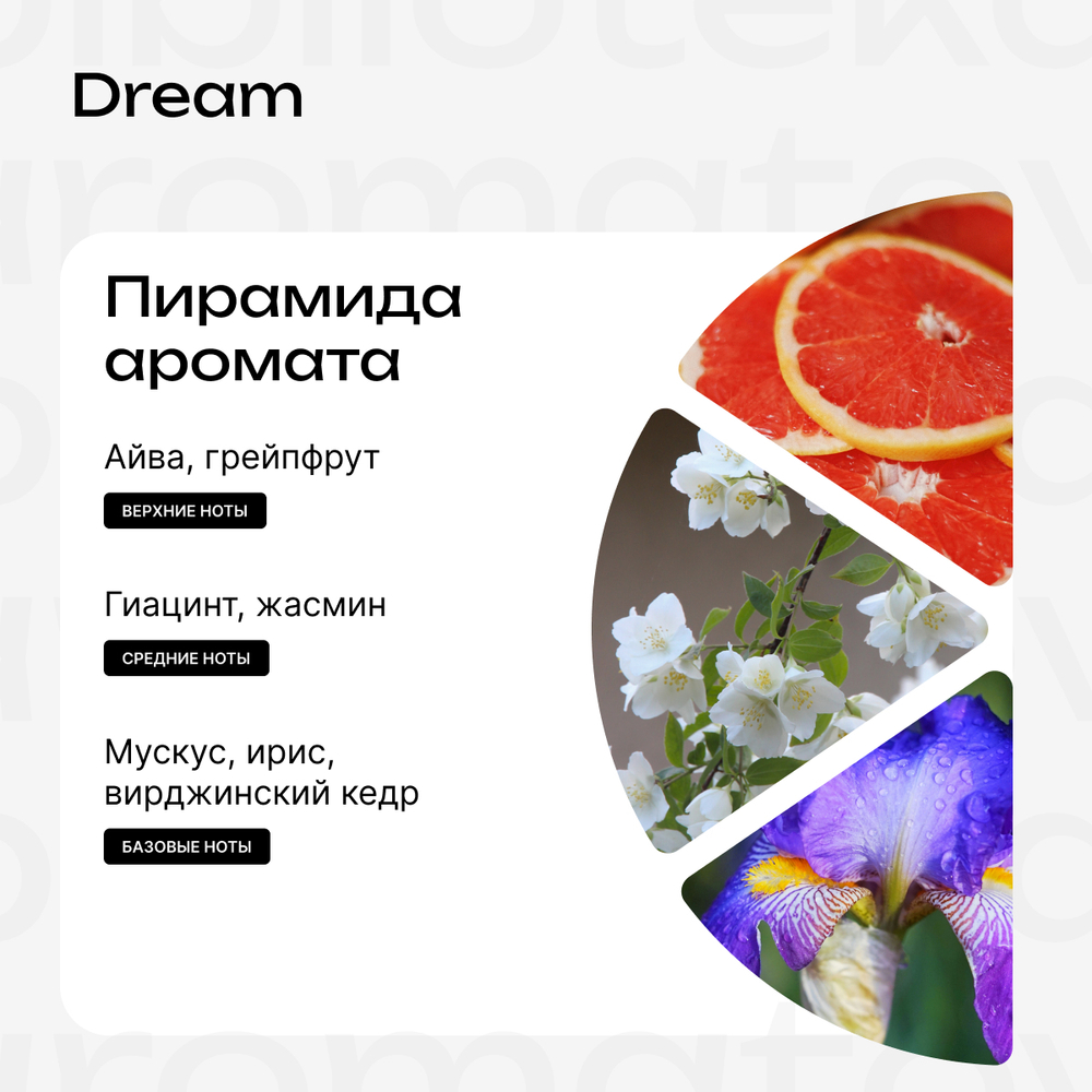 Dream