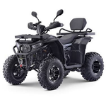 Квадроцикл бензиновый MOTAX GRIZLIK W200 LUX