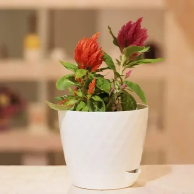 Горшок для цветов пластиковый 1л d-13,5см «Румба» белый