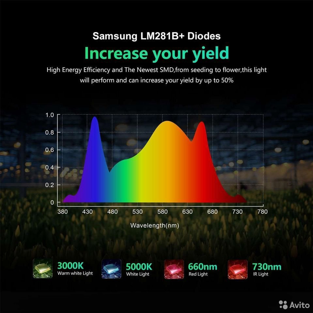 Samsung Quantum Board 240w LM281B