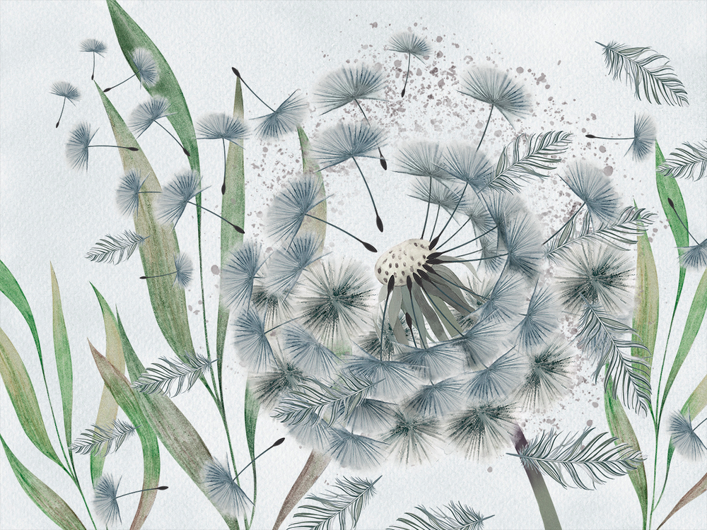 Коллекция PERO