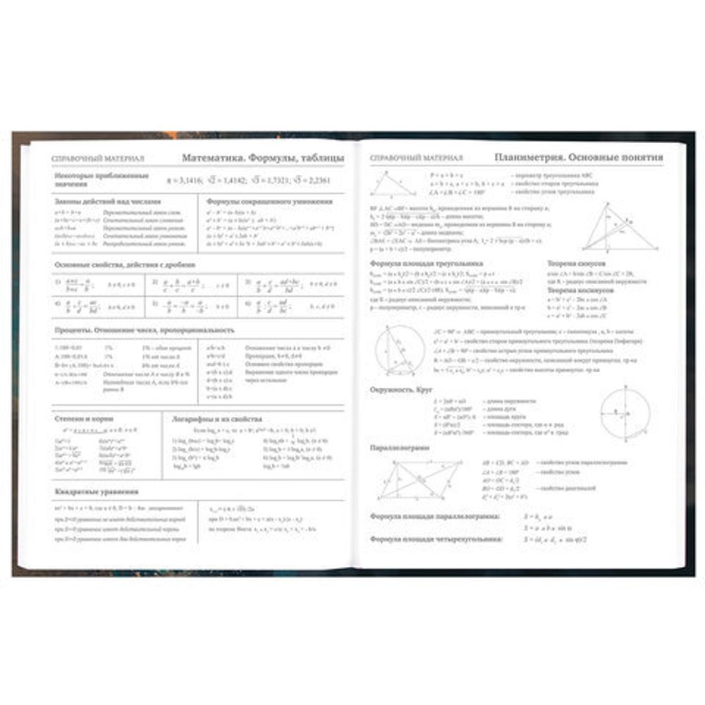 Дневник 5-11 класс 48 л., гибкая обложка, BRAUBERG, глянцевая ламинация, с подсказом, "Cat", 107181