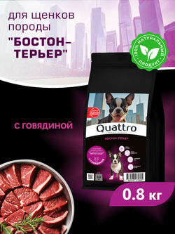 Корм сухой для щенков породы Бостон-терьер, с говядиной, 800 гр, QUATTRO