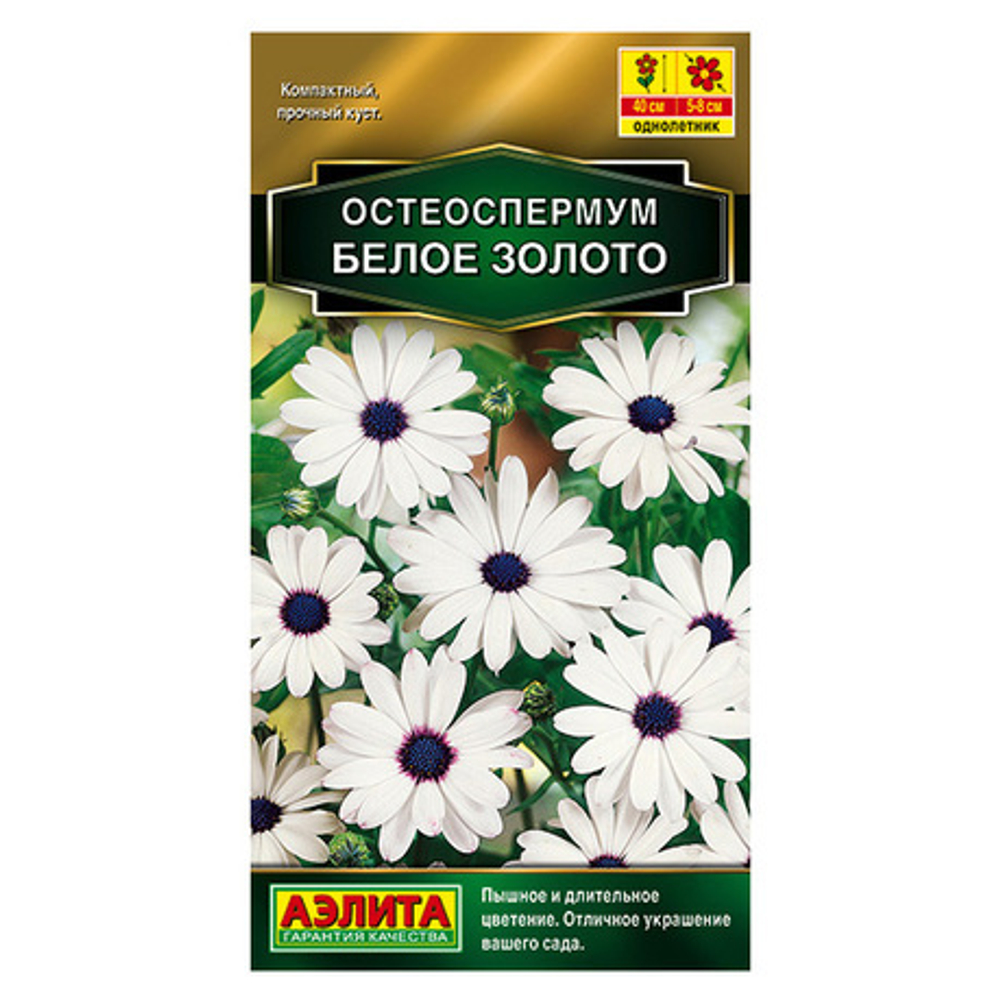 Остеоспермум семена