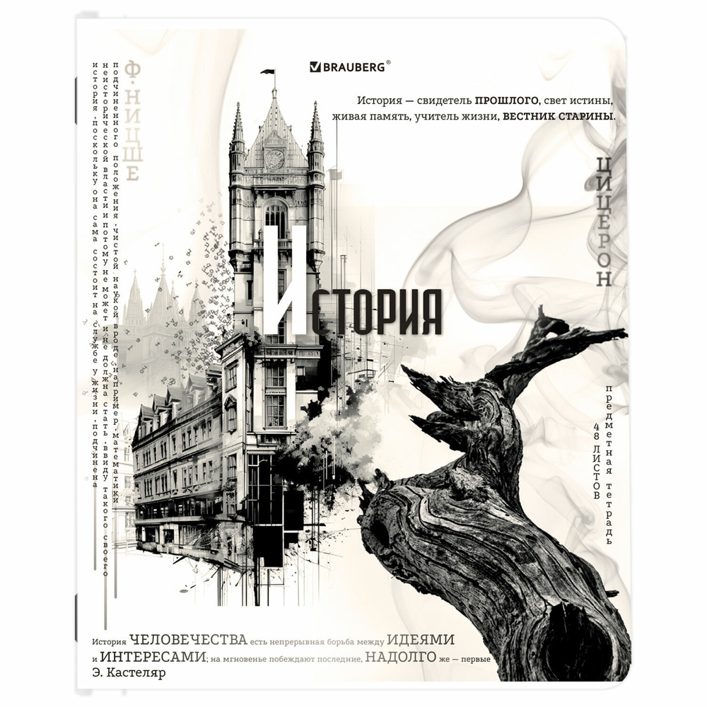 Тетради предметные комплект 12 ПРЕДМЕТОВ 48 л. матовая ламинация BRAUBERG "BLACK&WHITE" (2 штуки в упаковке)