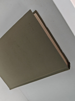 Ф. М. Достоевский. Полное собрание сочинений в 30 томах. Том 9. Идиот, рукописные редакции. Вечный муж