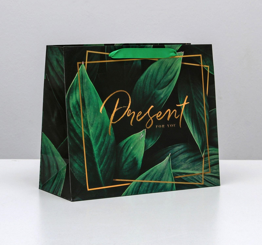 Пакет ламинированный горизонтальный Present for you, ML 27 × 23 × 11,5 см