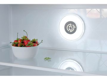 Холодильник Бирюса CD 466 GG