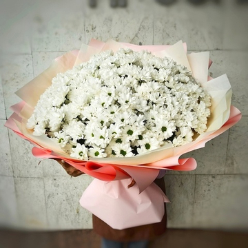 Букет из 35 кустовых хризантем сорта "KENNEDY WHITE"