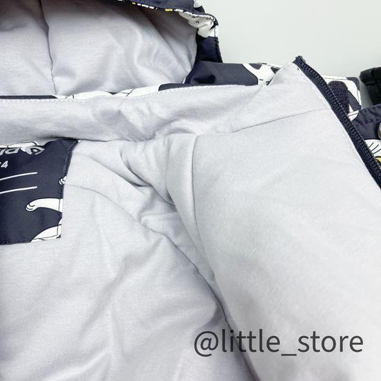 Комбинезон зимний "Забавные кошечки" угольный серый