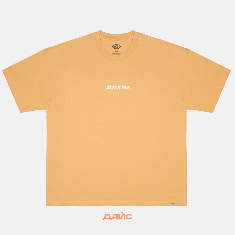 Футболка мужская Dickies Enterprise артикул:DK0A4YRNK411 - купить в магазине Дайс