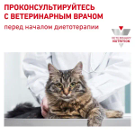 Royal Canin корм сухой для взрослых кошек при нарушениях пищеварения