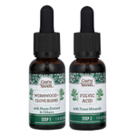 GuruNanda, Paracleanse, 2 этапных набора, без спирта, 2 шт. по 30 мл (1 жидк. унция)