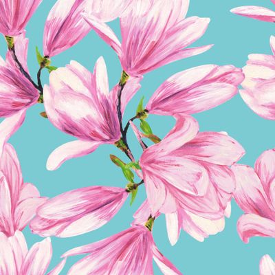 Цветы магнолии