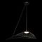 Подвесной светильник Loft IT Tressage 10127/760 Black