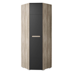 Шкаф распашной Наоми ШК-21 дуб каньон/графит