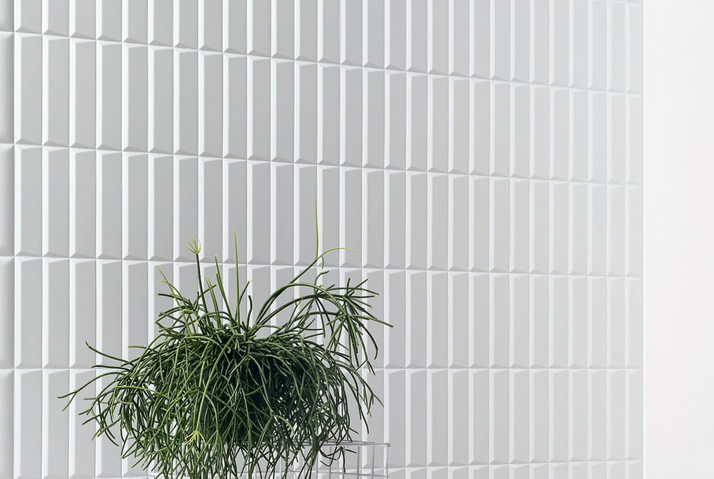 41zero42 Biscuit Strip Terra 5x20