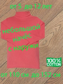 Водолазка с небольшим начесом