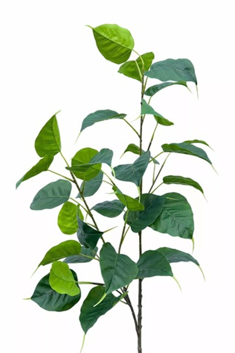 Ветка фикуса Эдем (двойная)