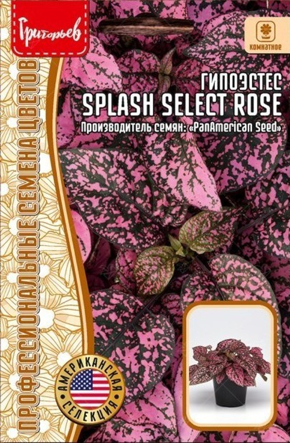 Гипоэстес Splash Select Rose К/Ц 4шт (Ред.Сем)