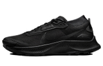 Кроссовки Nike Pegasus Trail 3 Gore-Tex "Black"