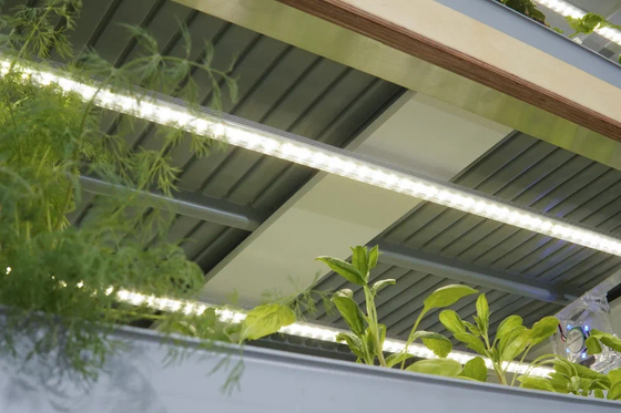 Гидропонная ферма «Профи» с принадлежностями