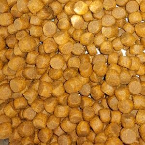 Уценка! Повр.упак./ Сухой корм ProBalance Immuno Adult Small&Medium для взрослых собак малых и средних пород