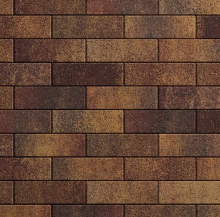 Тротуарная плитка ПРЯМОУГОЛЬНИК 300х100 мм - Листопад гранит Осень