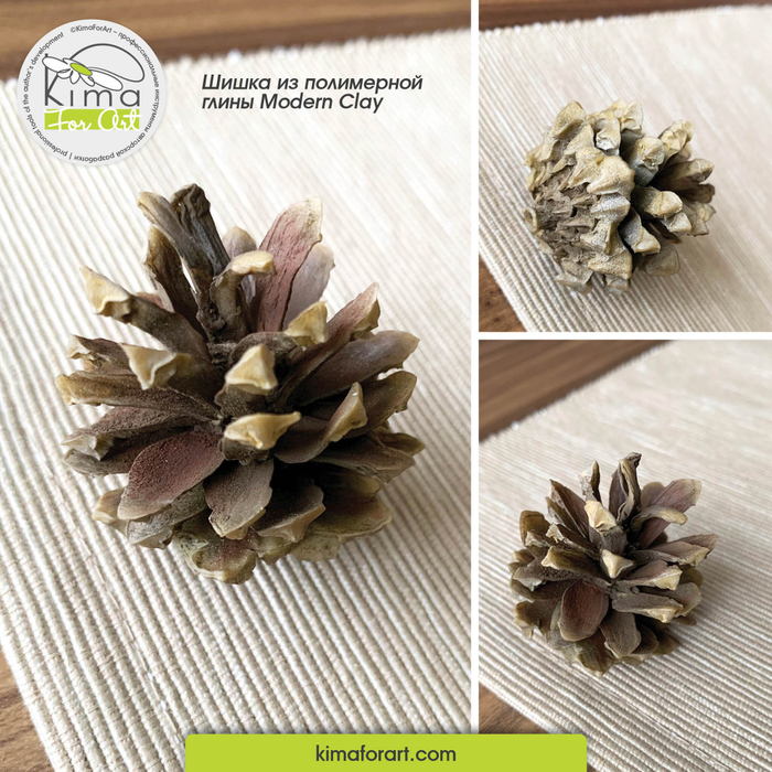 Шишки сосновые