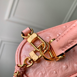 Louis Vuitton Vanity Chain Pouch