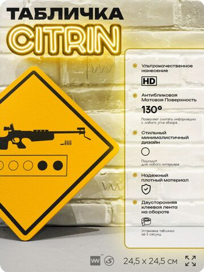 Табличка декоративная "Биатлон" на дверь и стену, спортивная, информационная, декоративный знак, 24,5х24,5 см, пластиковая, Айдентика Технолоджи