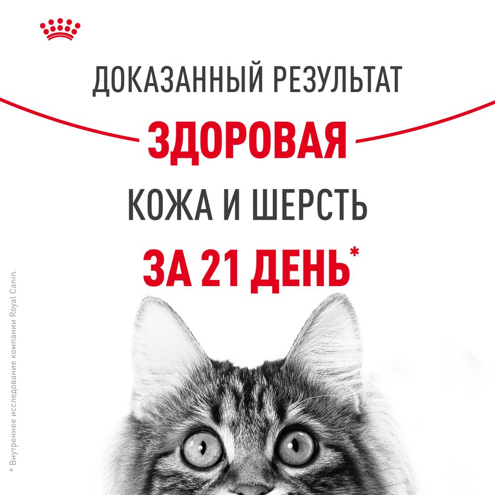 Сухой корм Royal Canin Hair&Skin Care для взрослых кошек для поддержания здоровья кожи и шерсти