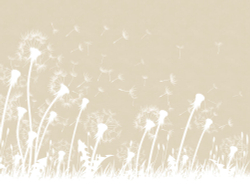 Коллекция Flower dreams 2