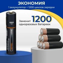 Батарейки аккумуляторные AAA 750mAh Type-c