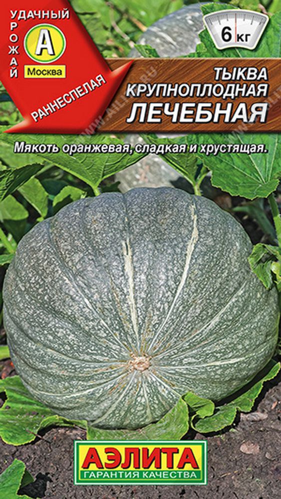Тыква крупноплодная &quot;G. Лечебная&quot; 2г., Россия.