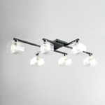 Citilux Вирта CL139165 Люстра потолочная Чёрная Матовая