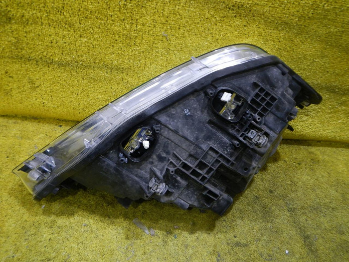 DSCN4590.JPG