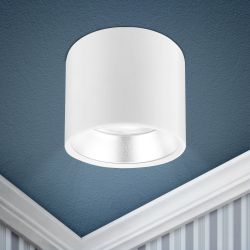 OL8 GX53 WH/SL Подсветка ЭРА Накладной под лампу Gx53, алюминий, цвет белый+серебро