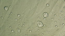 Палатка с надувным каркасом Outwell Flagstaff 5A [110454]