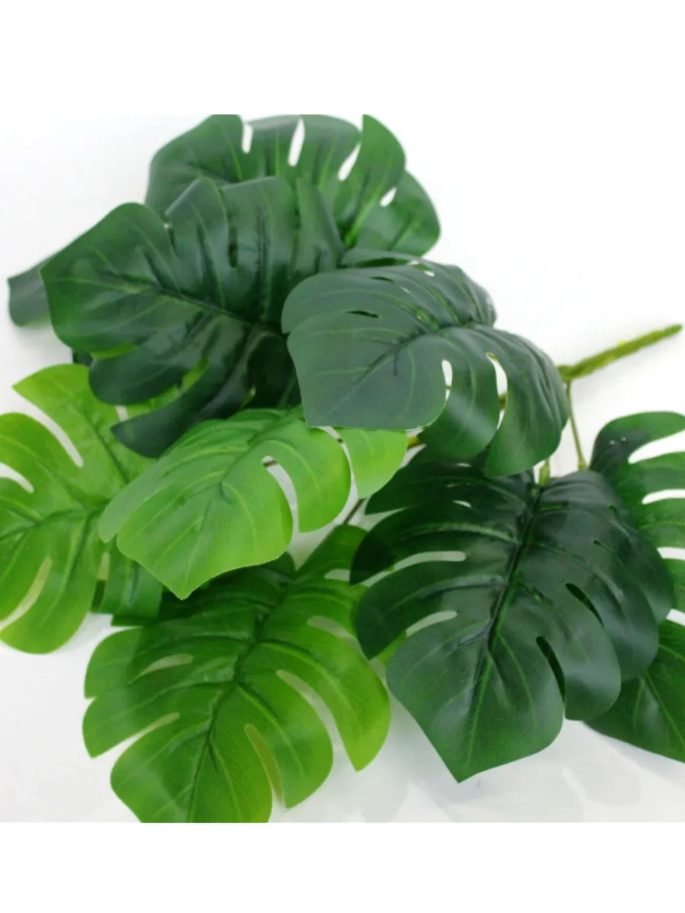 Куст монстера, 9 листьев. 3 шт.