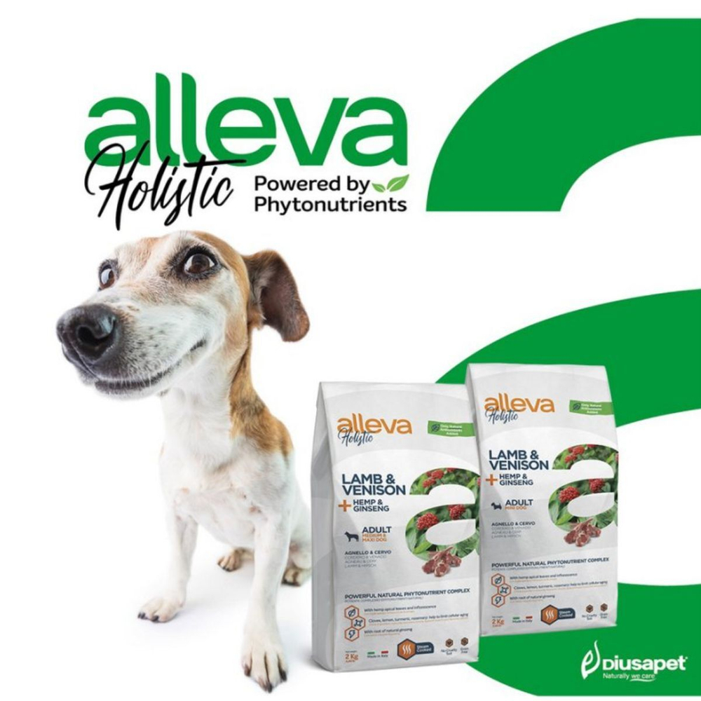 Корм Аллева Холистик Holistic Lamb & Venison + Hemp & Ginseng Medium/Maxi для взрослых собак средних и крупных пород, с ягненком, олениной и женьшенем,2 кг