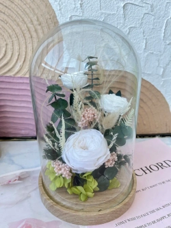 натуральные пионы в стекле