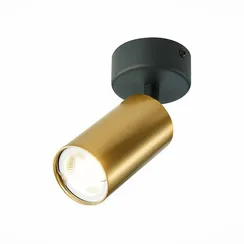 ST303.202.01 Потолочный светильник Золотистый GU10 1*50W  IP20 D70xH168 220V Без ламп Накладные светильники